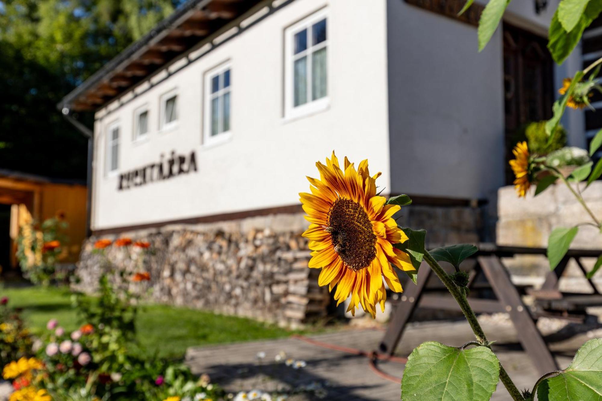 Chata Rychtarka Janov nad Nisou Bagian luar foto